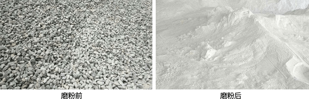 64d2027848c44.jpg 3.jpg